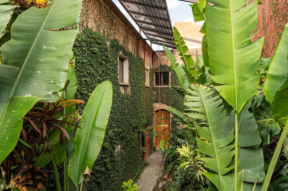 Vista del exterior