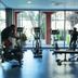 Gimnasio