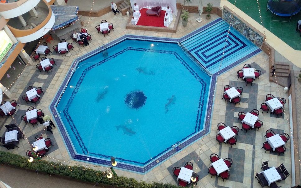 Piscina Foto