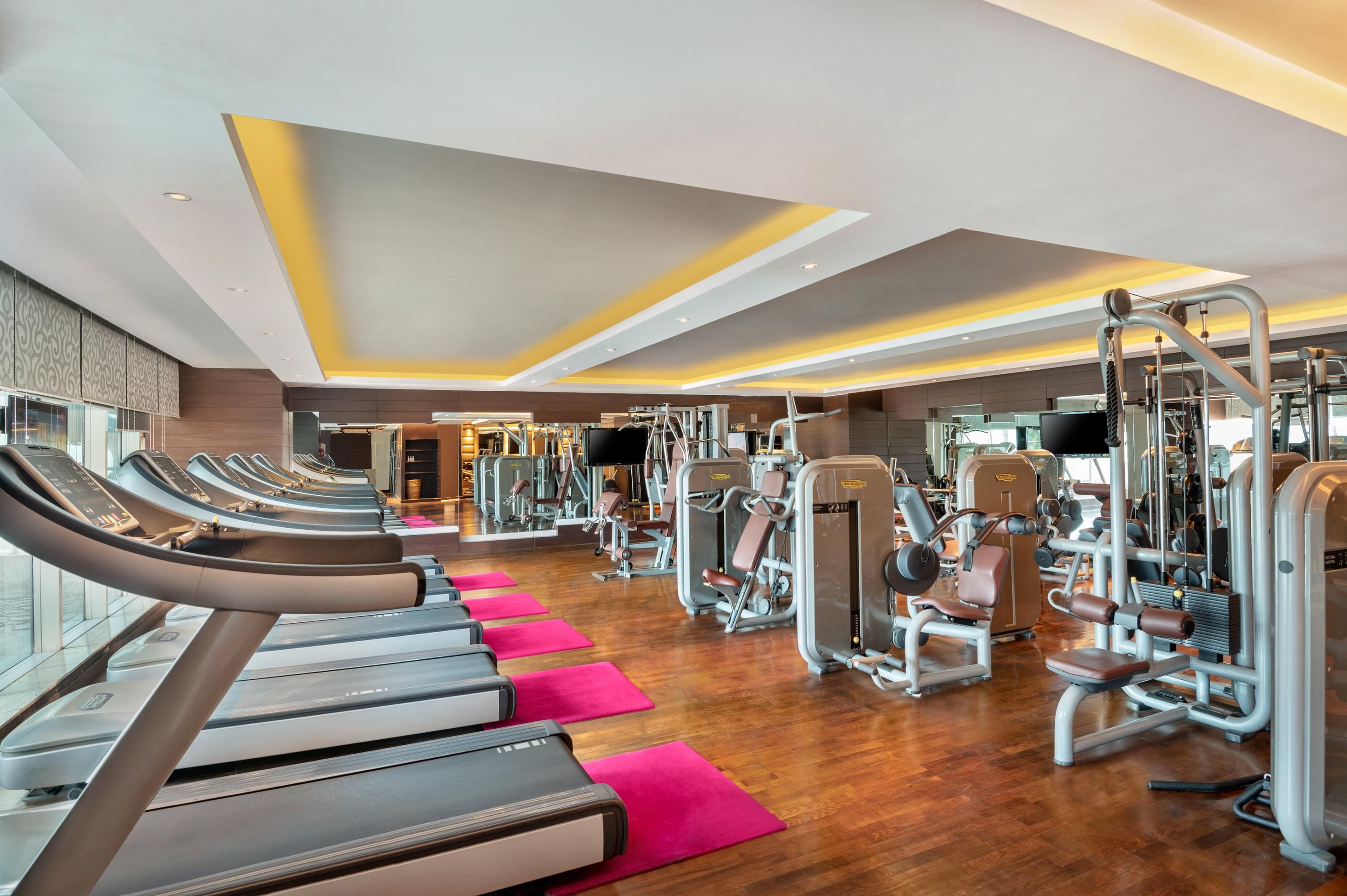 Gimnasio
