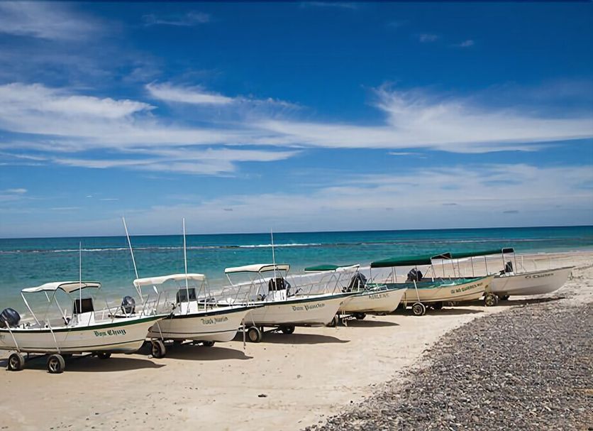 Playa Foto
