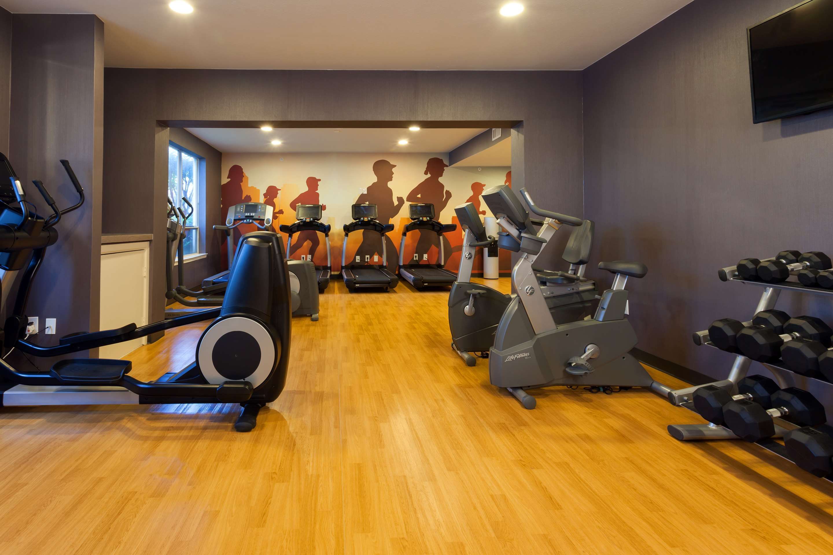 Gimnasio