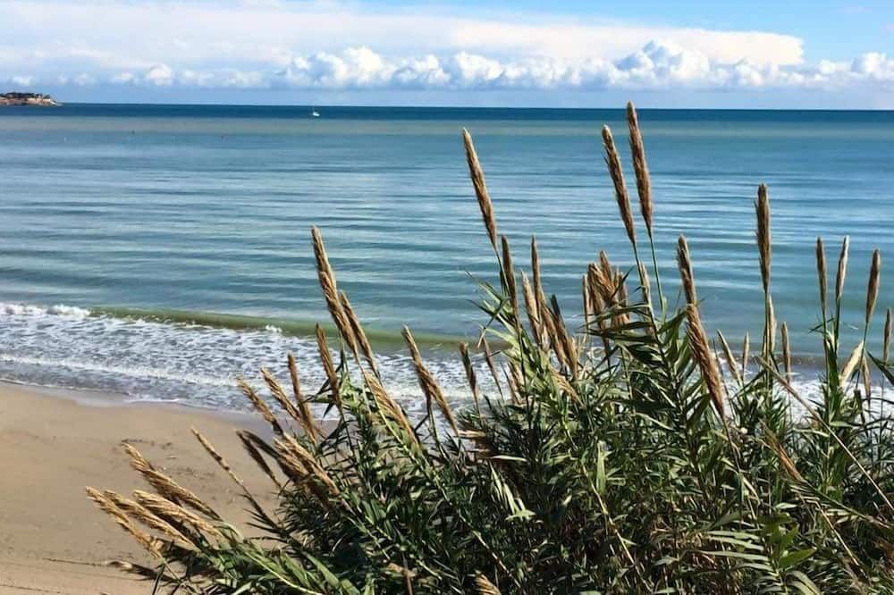 Playa Foto