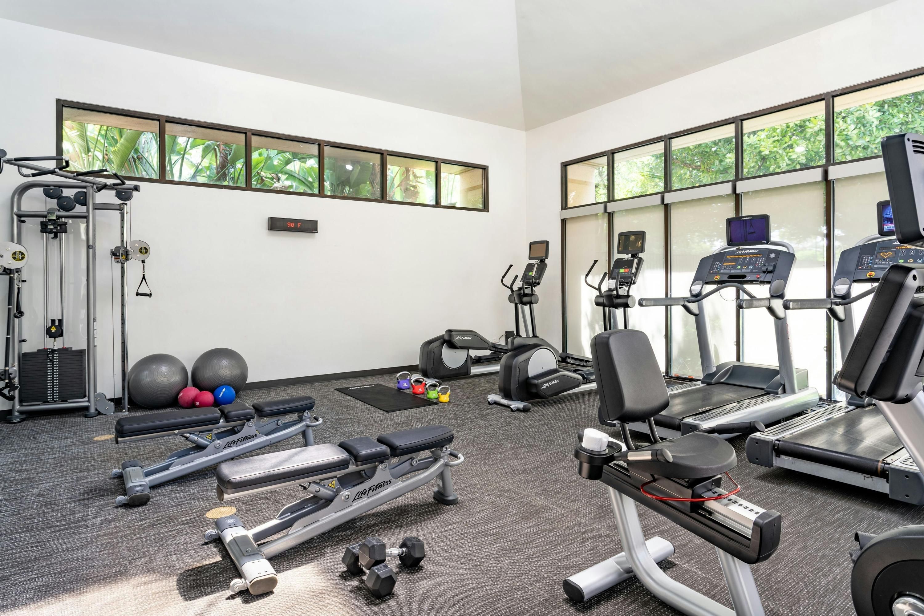 Gimnasio