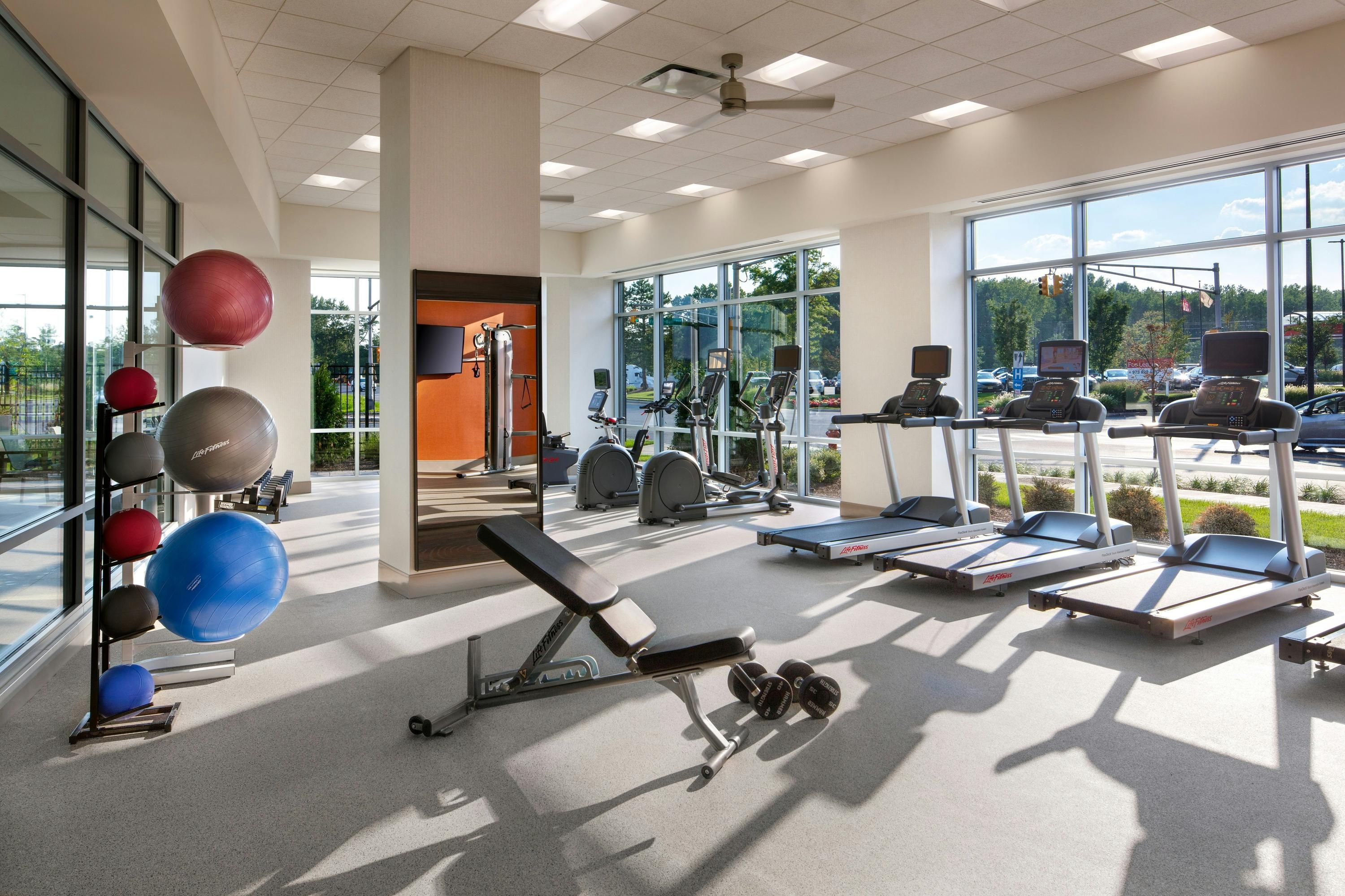 Gimnasio