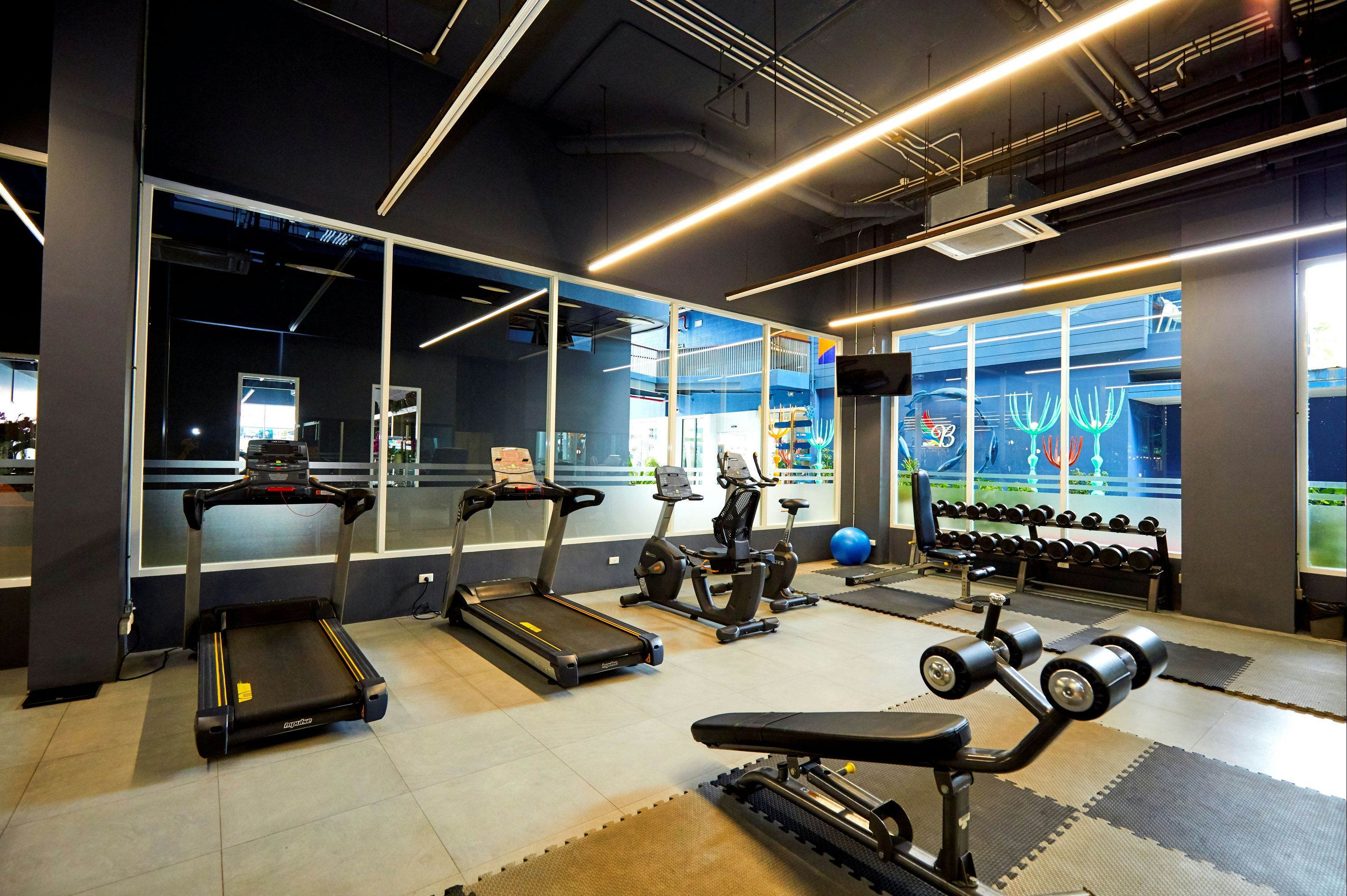 Gimnasio