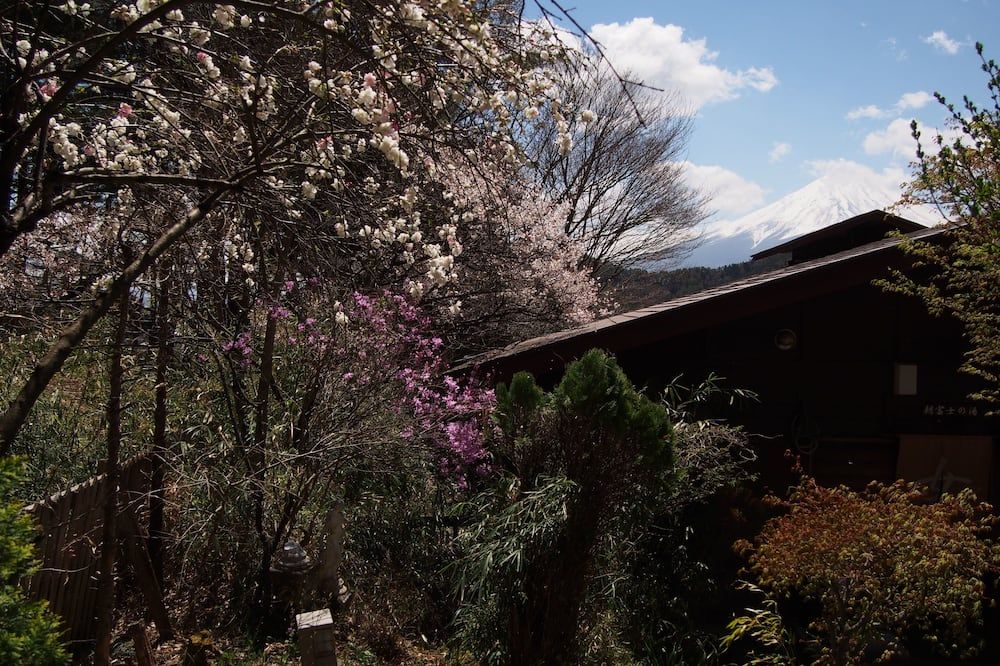 Vista del exterior