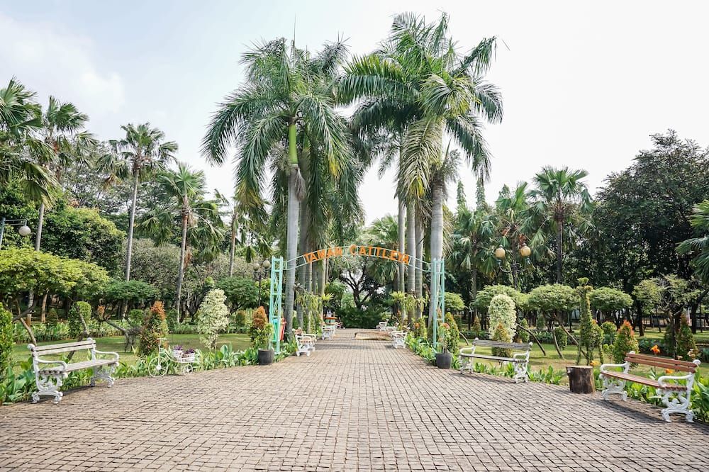 Vista del exterior