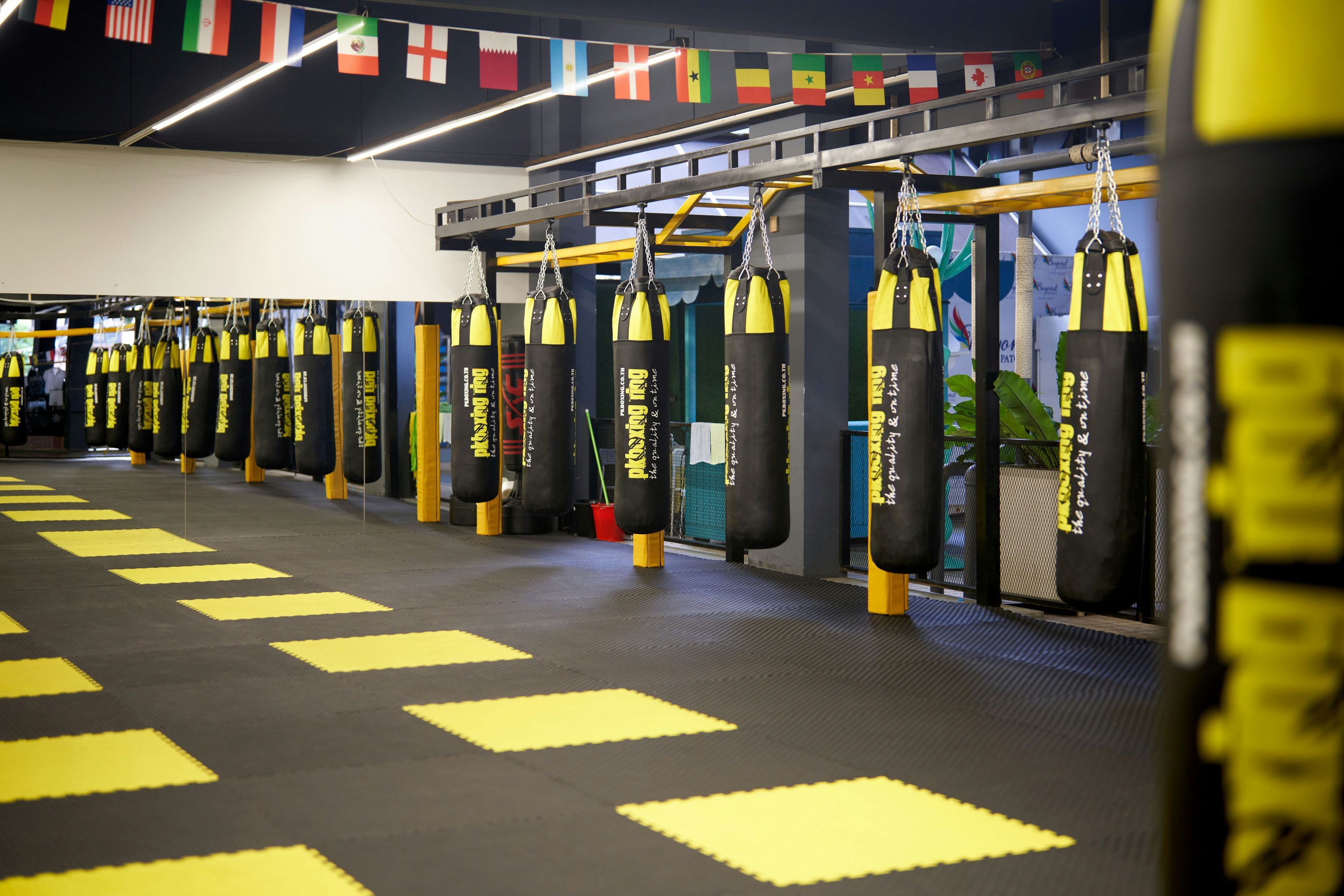 Gimnasio