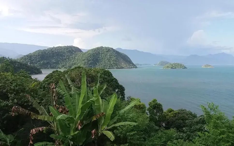 Otro Foto