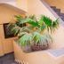 Escaleras