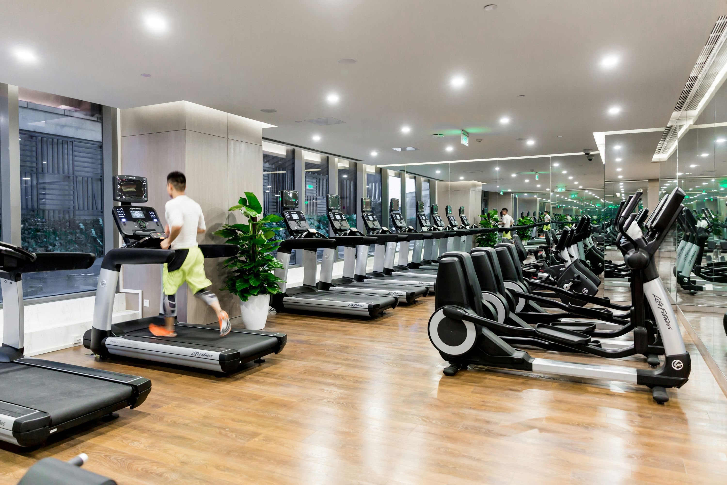 Gimnasio