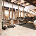 Gimnasio