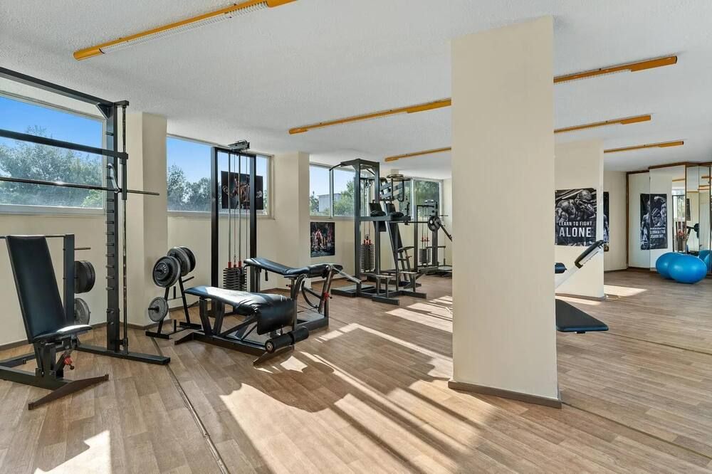 Gimnasio