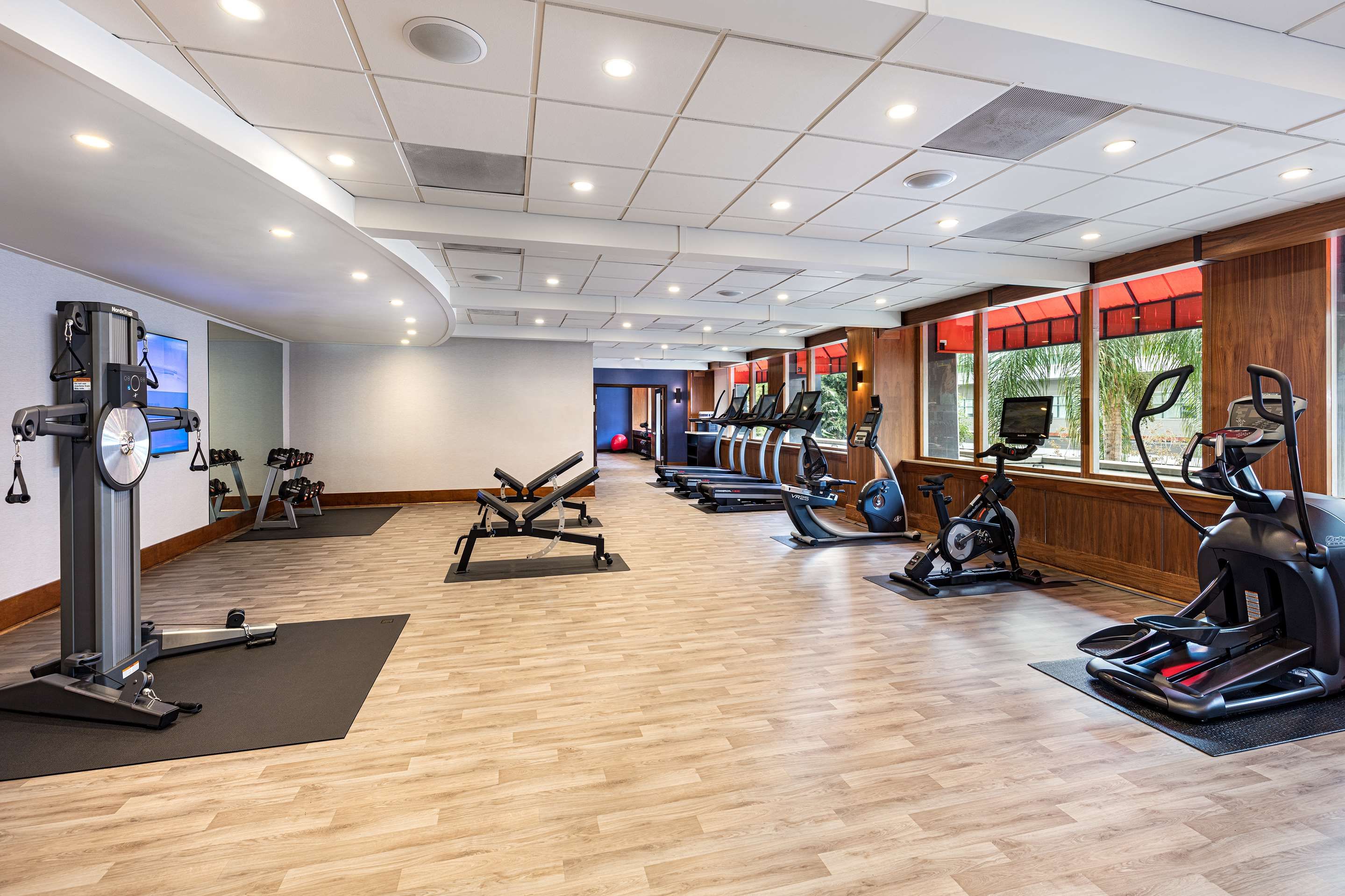 Gimnasio