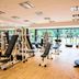 Gimnasio