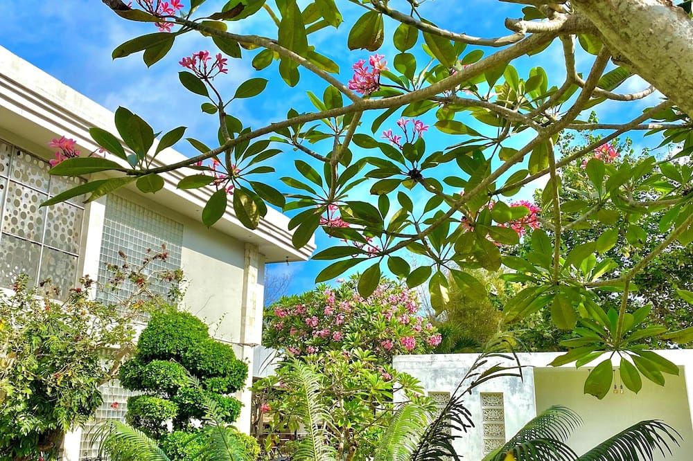 Vista del exterior