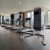 Gimnasio