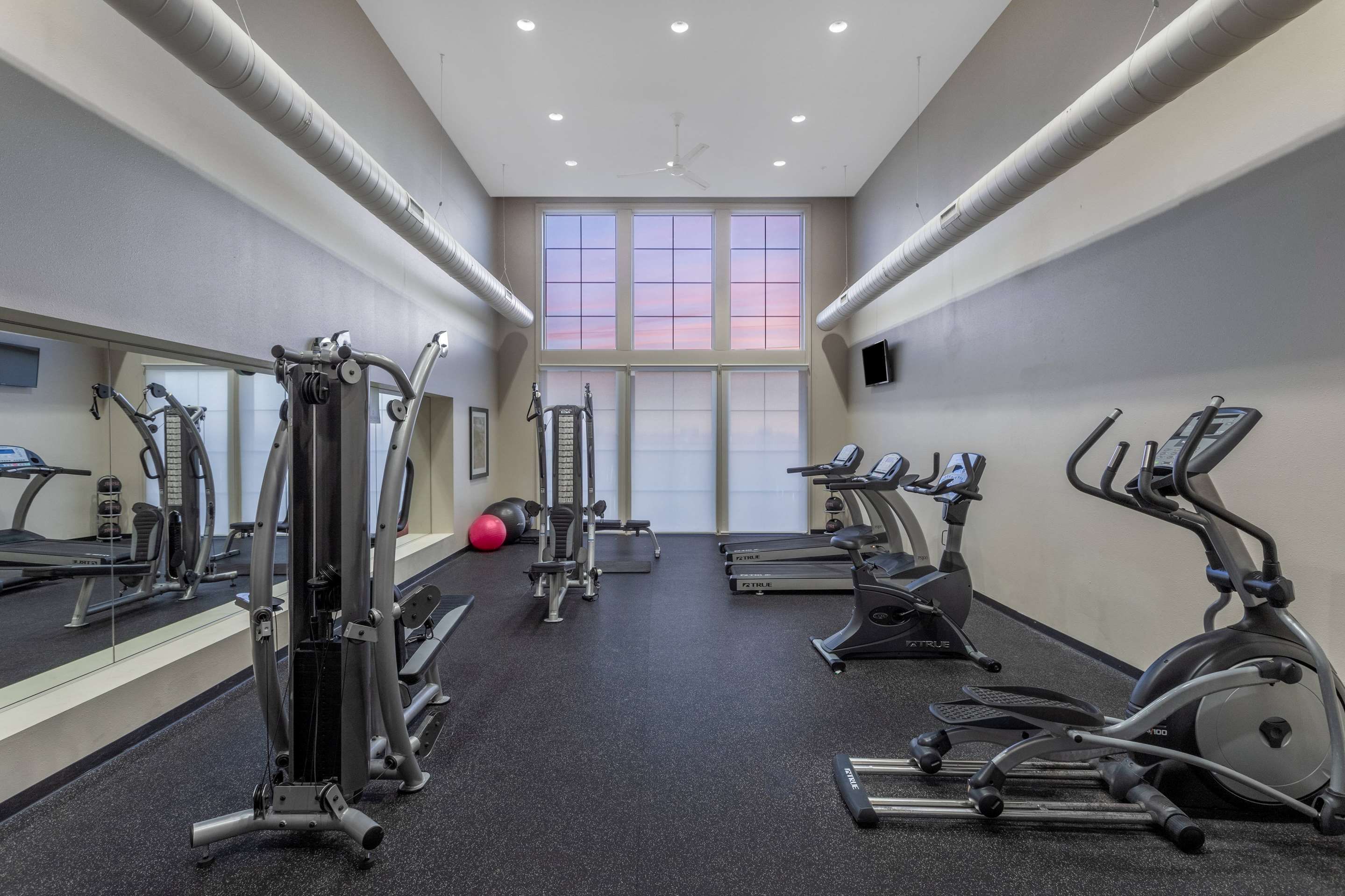 Gimnasio