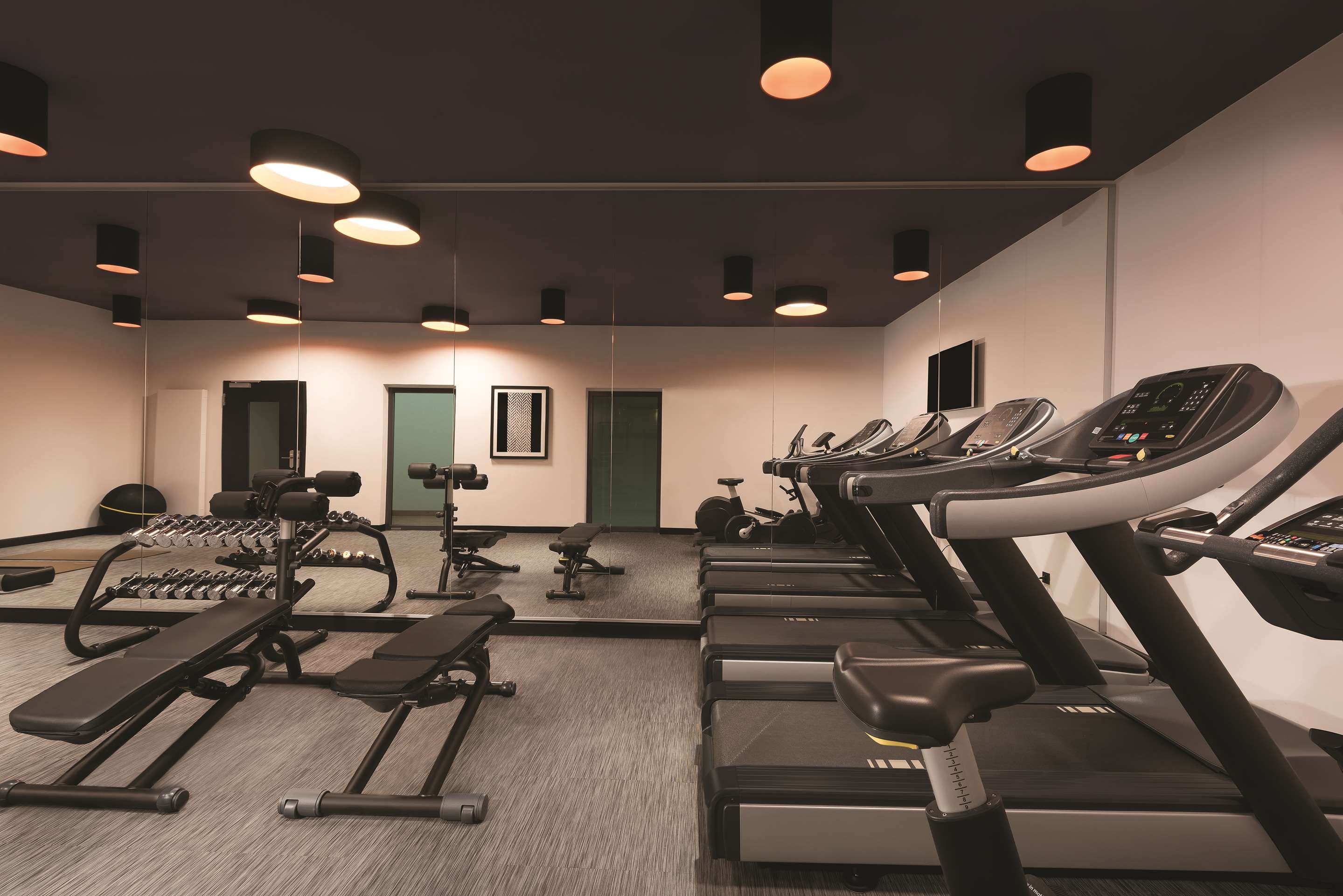Gimnasio