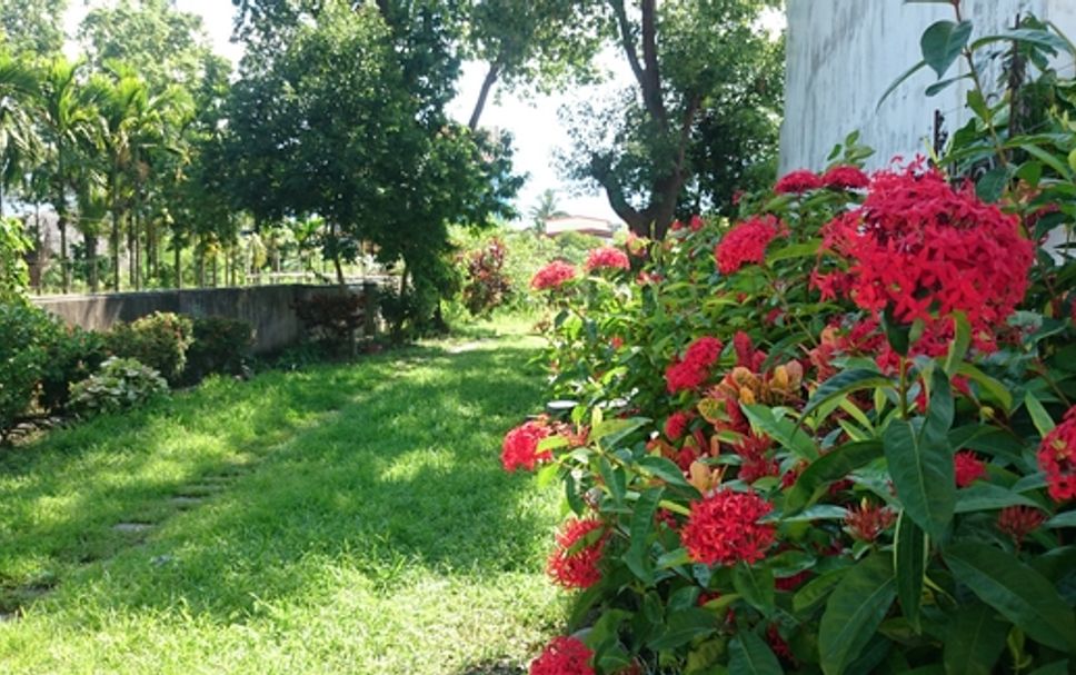 Vista del exterior Foto
