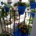 Vista del exterior