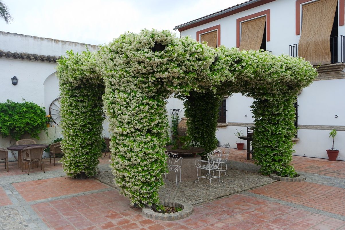Vista del exterior