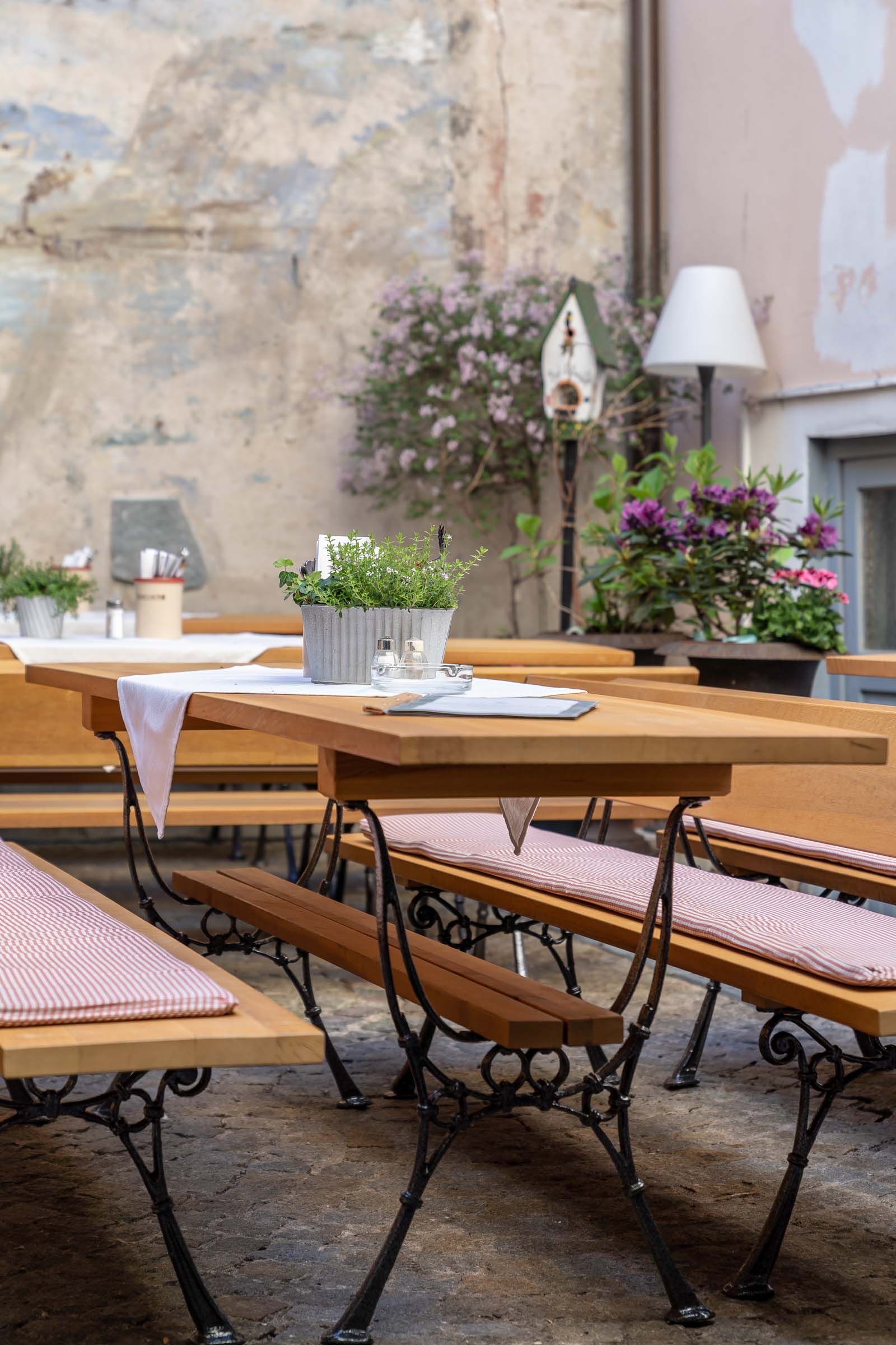 Comedor