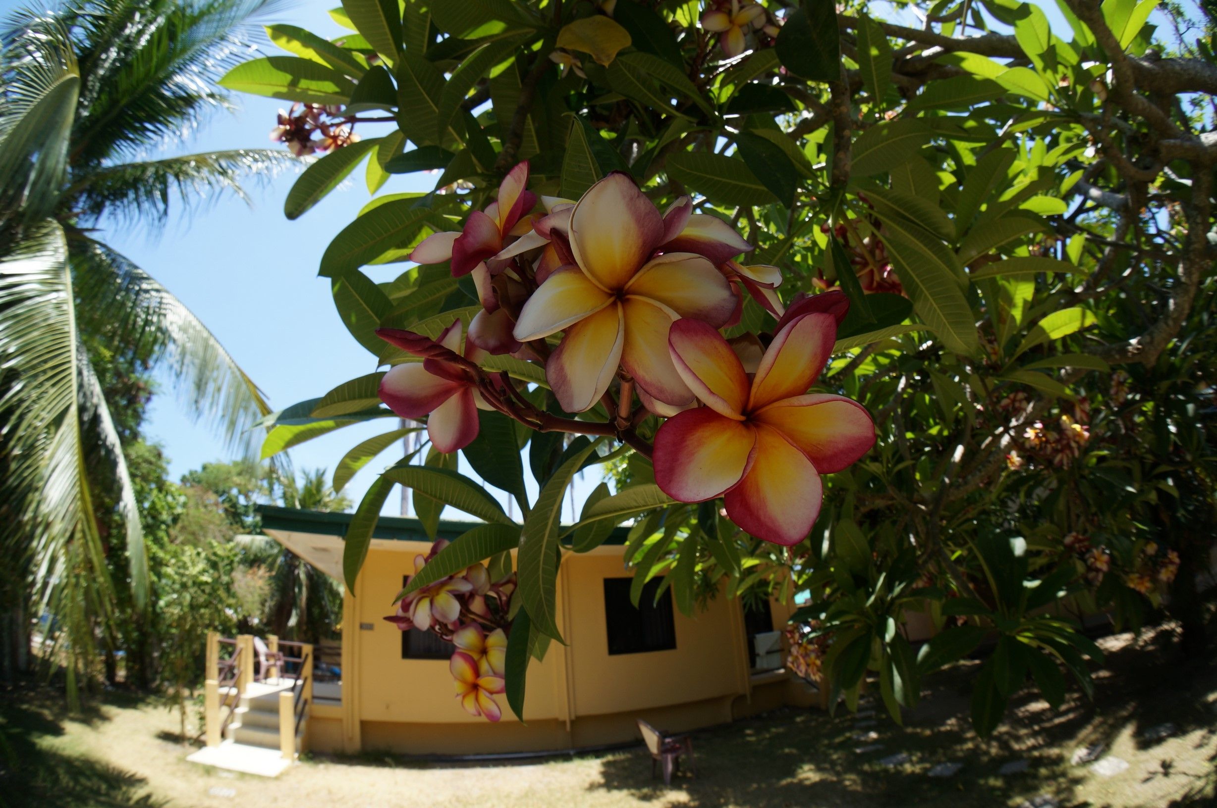 Vista del exterior