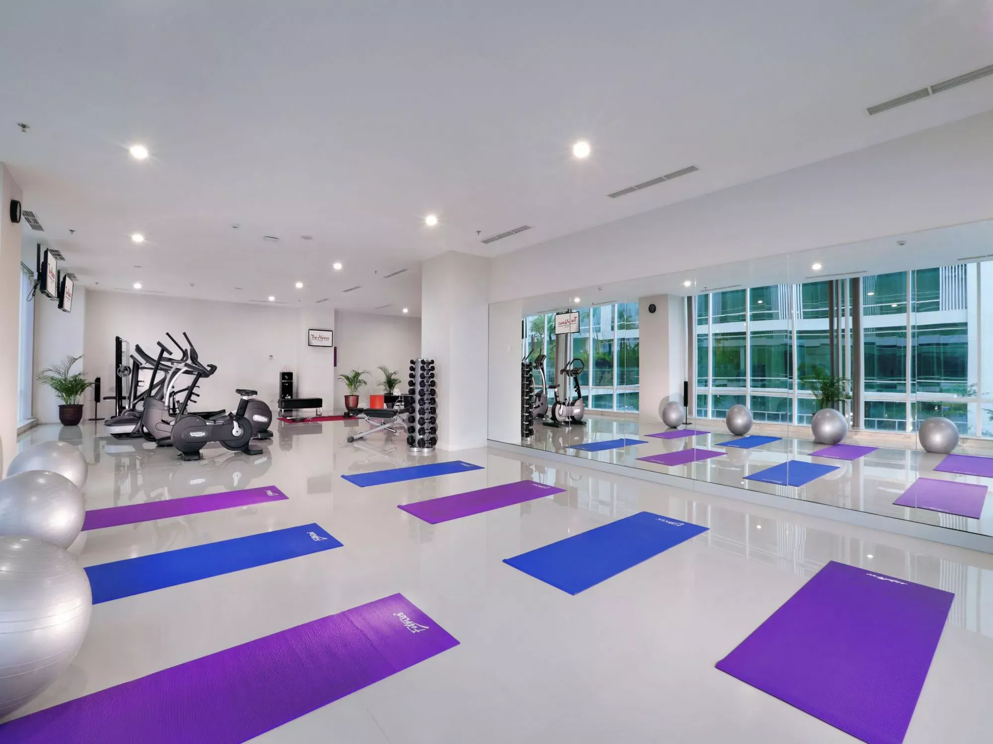 Gimnasio