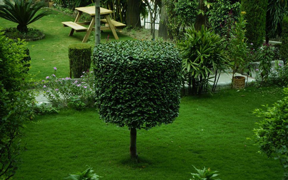 Vista del exterior Foto