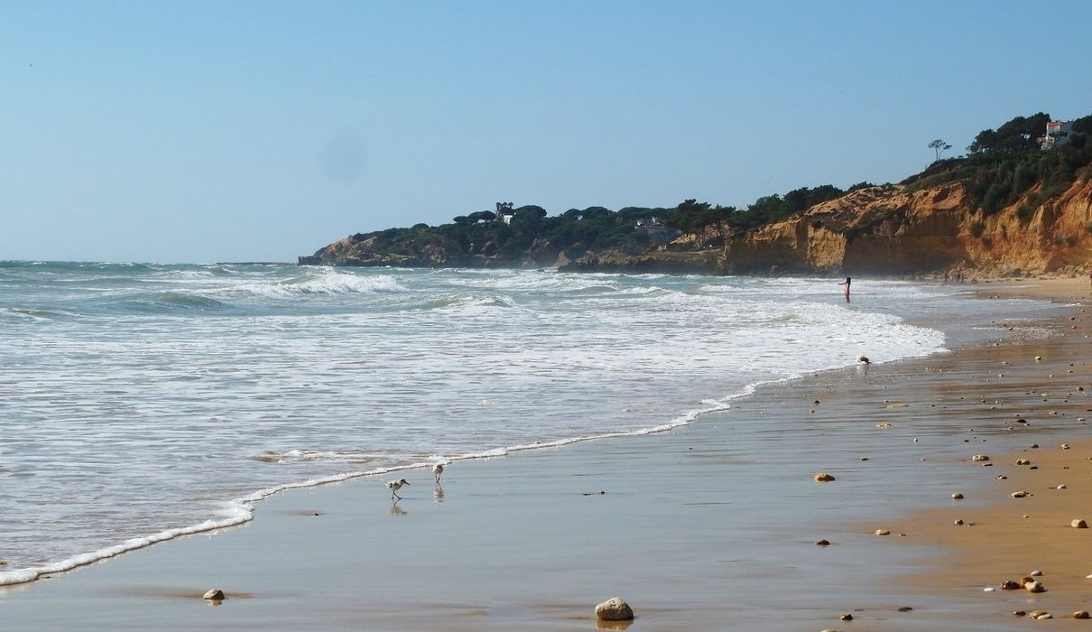 Playa