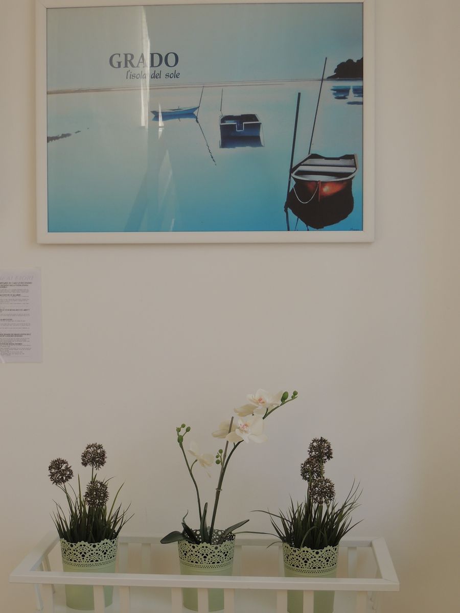 Decoración
