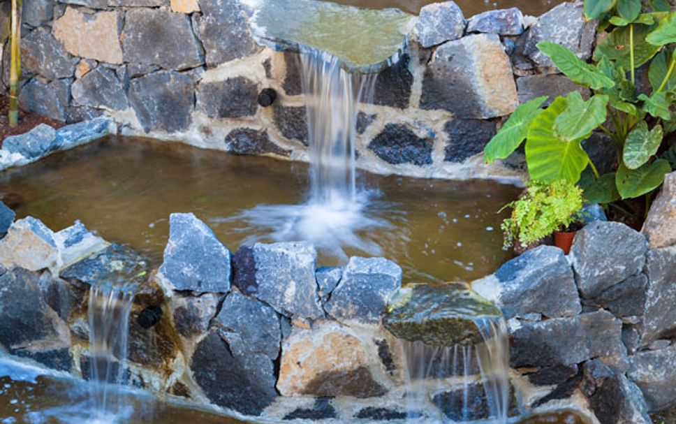 Servicio del hotel Foto