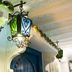Decoración